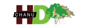 logo-design-partner
